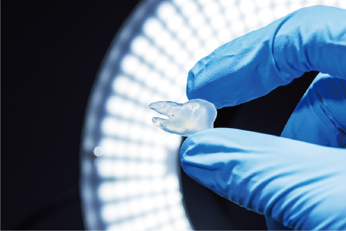 Rigid model with short delivery time