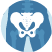 Pelvis