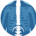 Spine