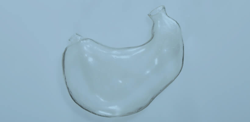 Stomach Preoperative simulator model