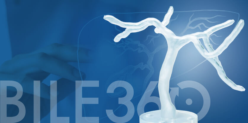 Cholangiography simulator