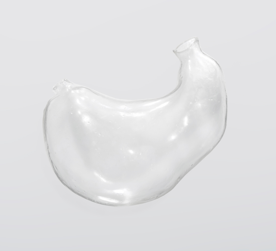 Stomach　Preoperative simulation model