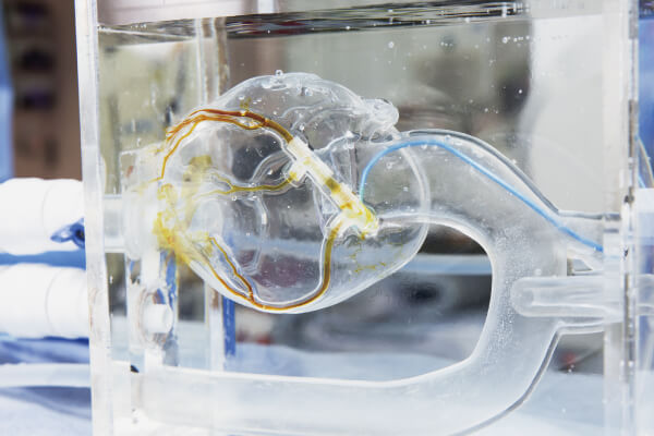 Received the National Commendation for Invention 