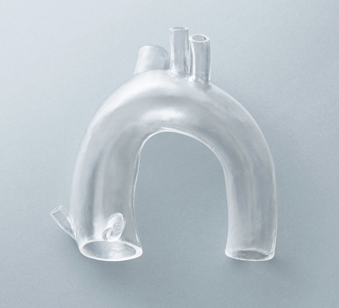 Vascular model  Geometry