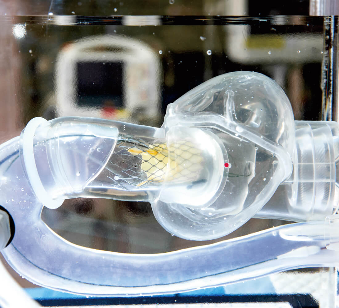 Cardiac Catheter Training System