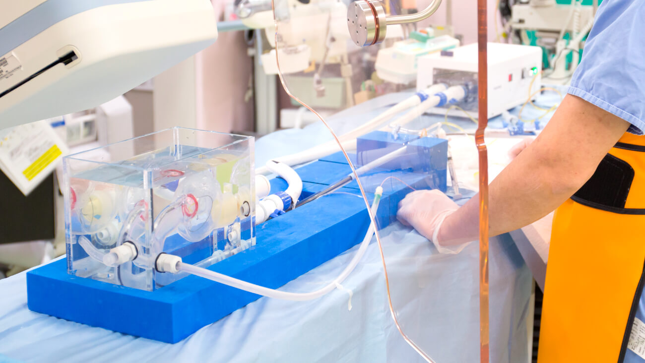 Examples of HEARTROID usage