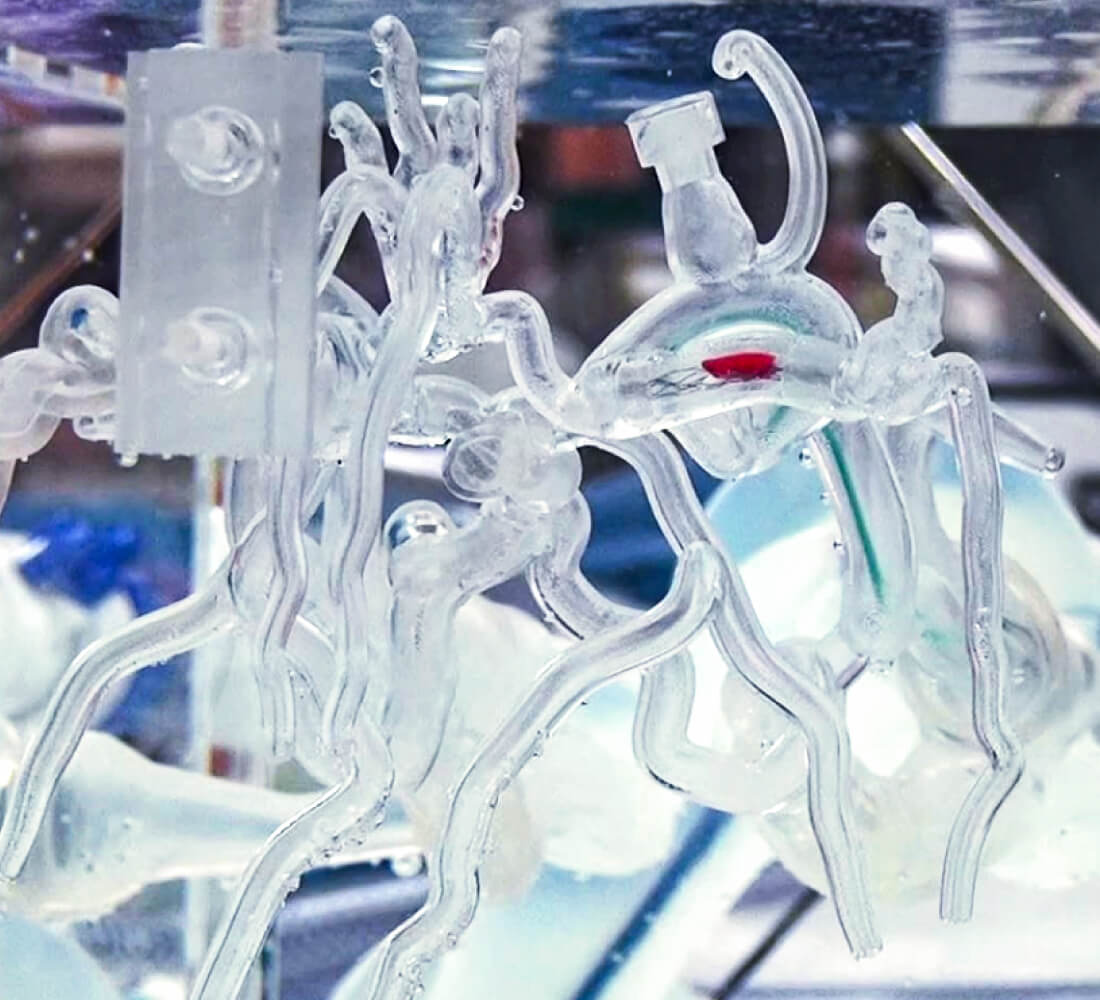 NV (Neurovascular) model