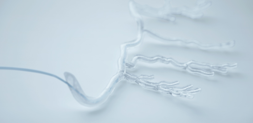 Vascular Model Custom