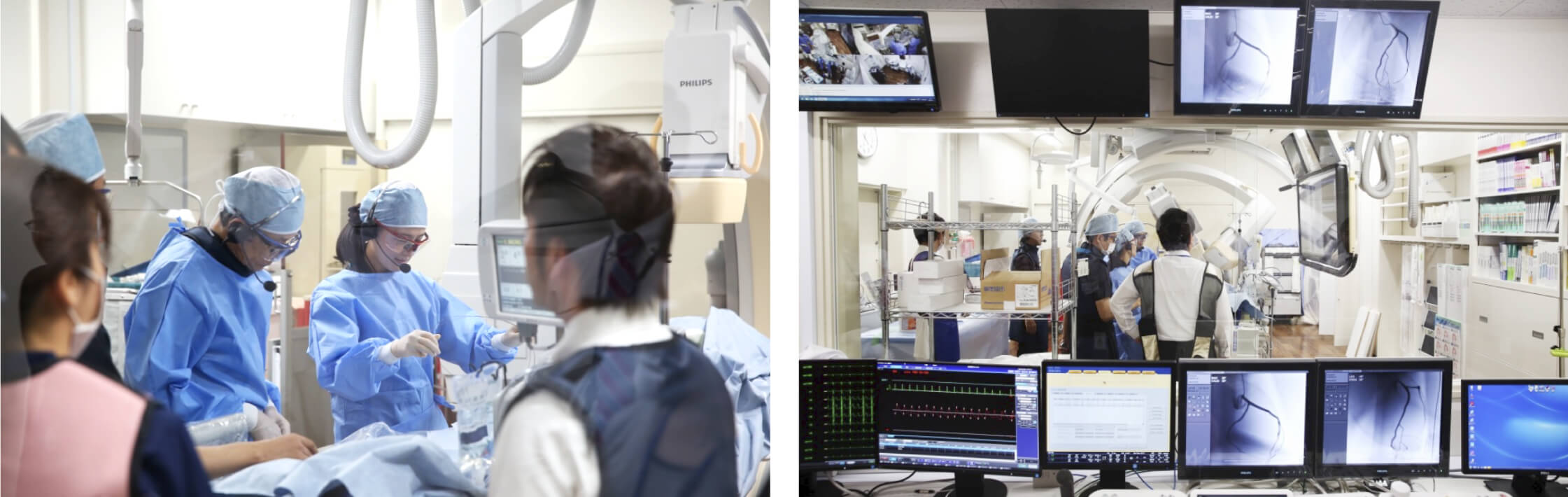 Cardiac catheterization training using Heartroid